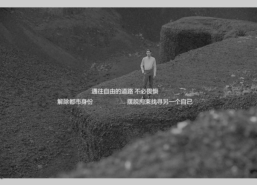 重生之星途璀璨